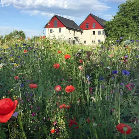 Apartman Bienenhaeusle In Gruenkraut / Ravensburg *