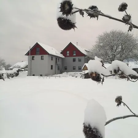 Bienenhaeusle In Gruenkraut / Ravensburg * Grunkraut