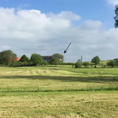 Bienenhaeusle In Gruenkraut / Ravensburg * Grunkraut